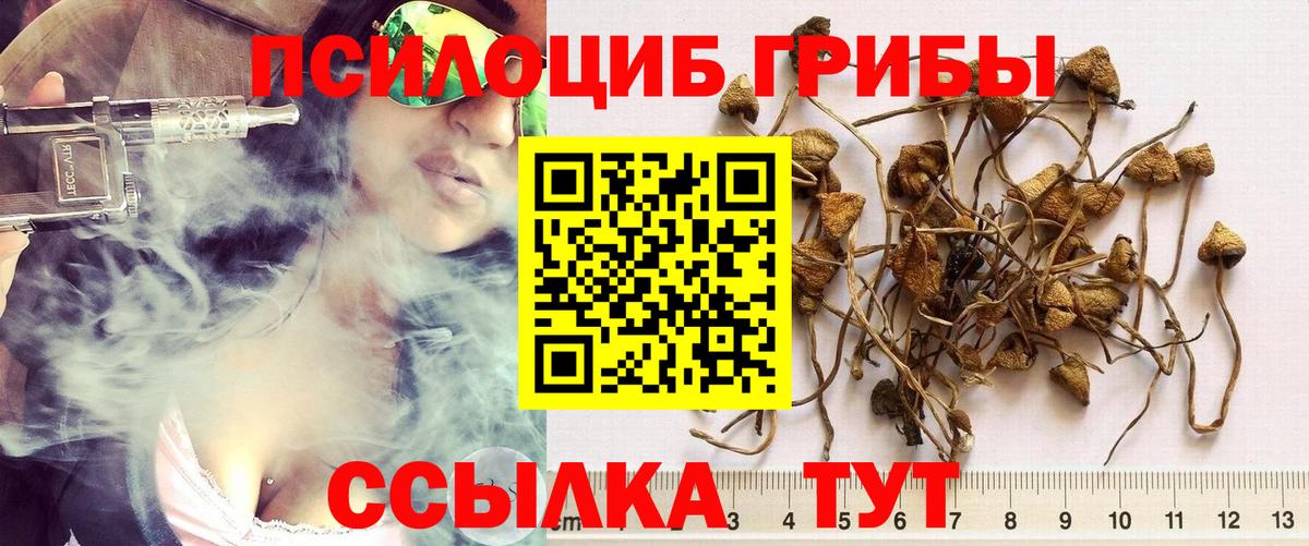 Гусиноозёрск  Псилоцибиновые грибы ЛСД  купить наркоту  Вход с VPN 